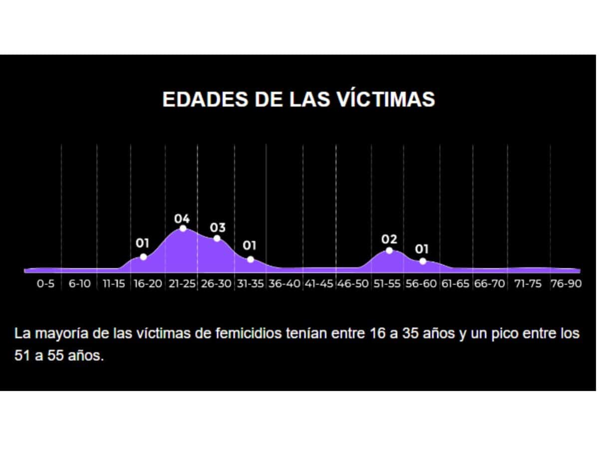 Utopix contabilizó 108 femicidios entre enero y julio de 2024