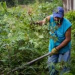 Fedeagro advirtió sobre la brecha cambiaria y otras dificultades que afectan a los productores
