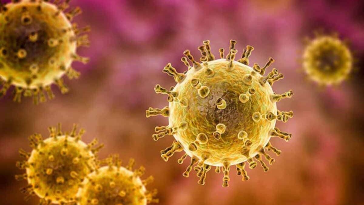 ¿Qué es la culebrilla y qué mitos hay detrás de esta infección viral en la piel? 