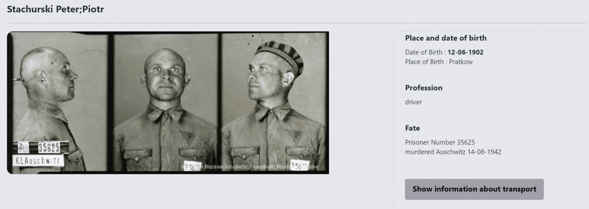 Museo de Auschwitz publicó herramienta digital para buscar víctimas del Holocausto: cómo funciona