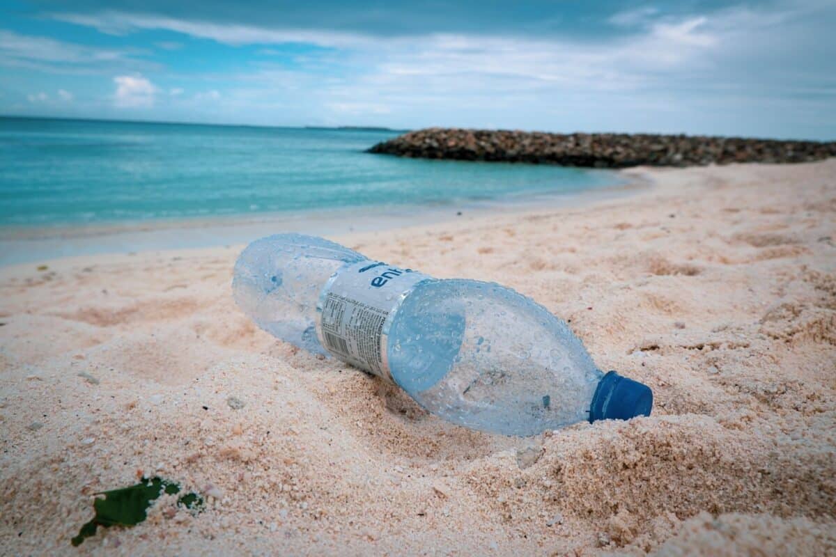 Científicos desarrollaron un plástico que se descompone en el mar para reducir la contaminación