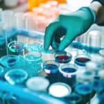 Desarrollaron un tratamiento con células madre para reparar córneas dañadas