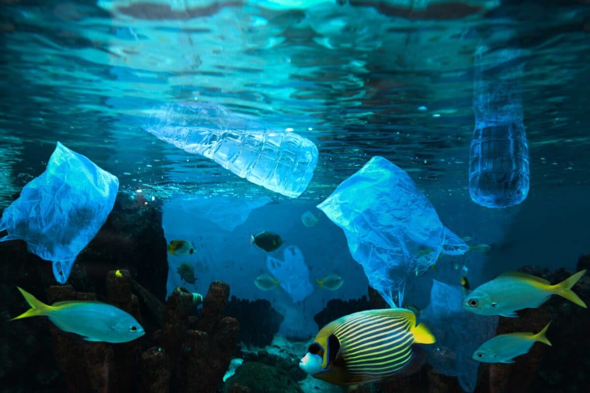 Científicos desarrollaron un plástico que se descompone en el mar para reducir la contaminación