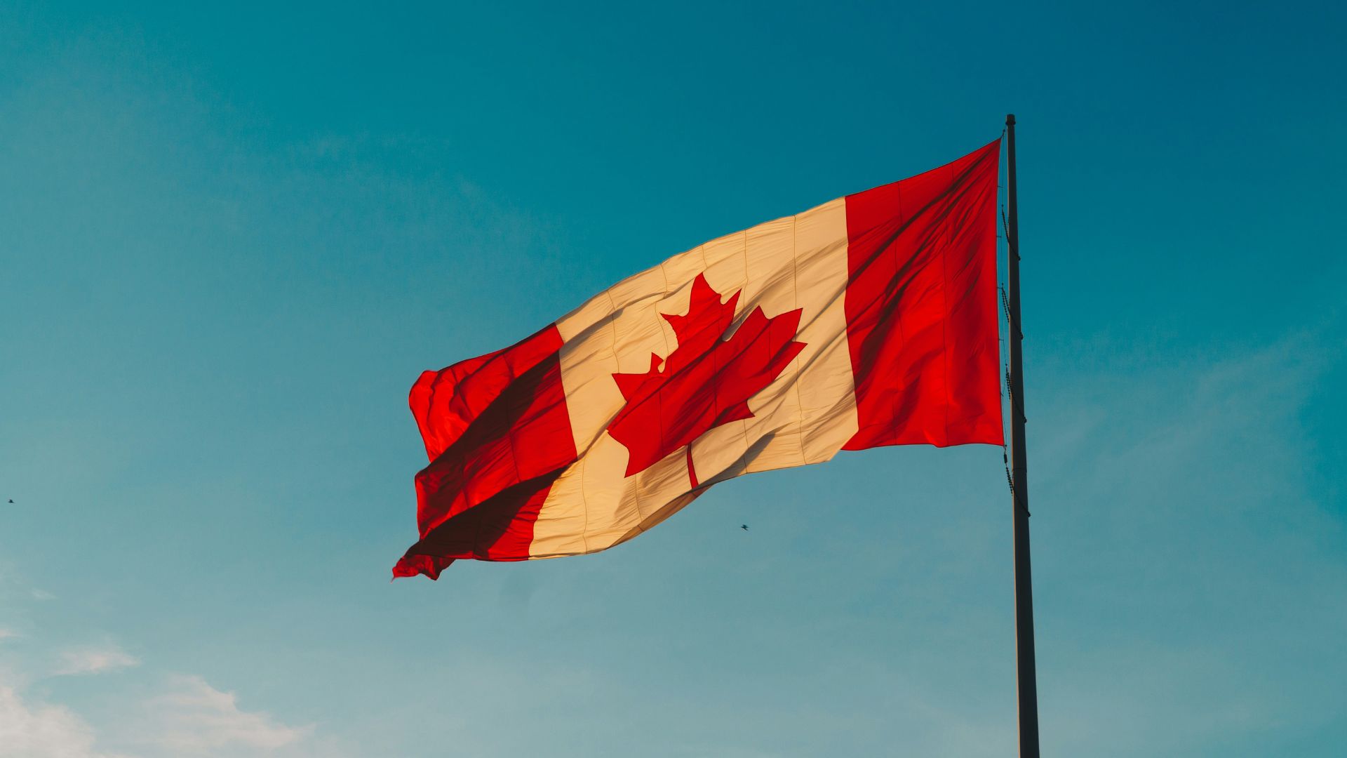 Canadá impuso nuevas sanciones contra funcionarios venezolanos señalados de violar los DD HH
