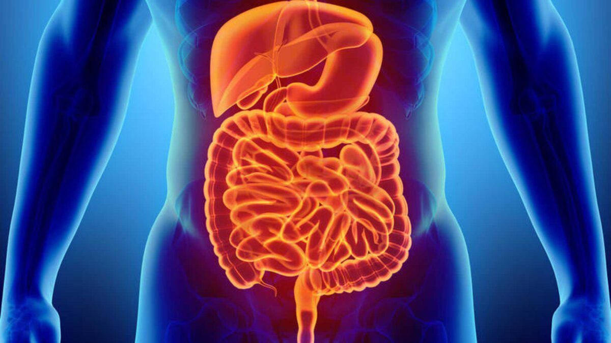 ¿Por qué la salud intestinal está ligada con el estado de ánimo y emociones?