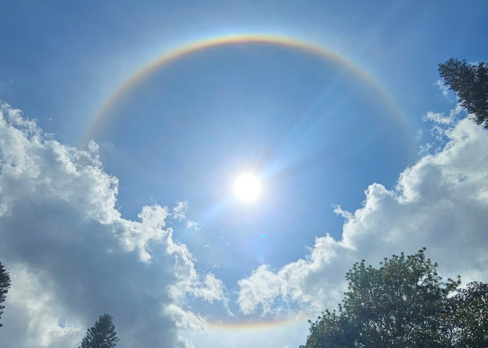 Qué es y cómo se produce un halo solar, el fenómeno que reportaron los venezolanos en varias partes del país