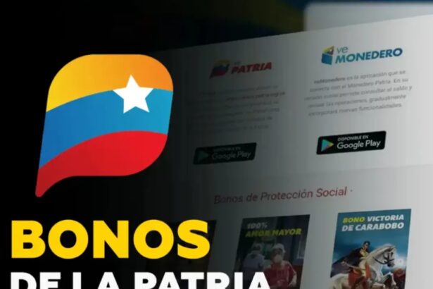 Aumentaron los montos de cinco bonos del Sistema Patria: ¿para qué alcanzan?