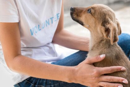 Cachorro Terapia, un evento para ayudar a perros sin hogar que se realizó en la UCV: los detalles