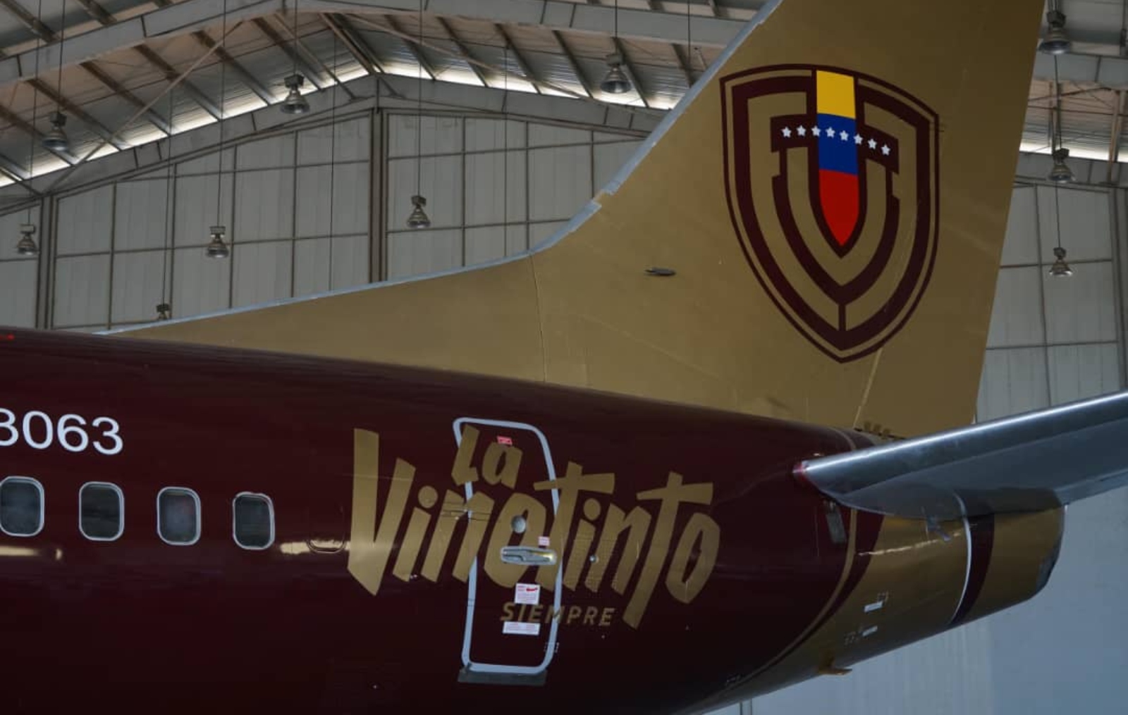 En imágenes: así es el avión oficial de la Vinotinto