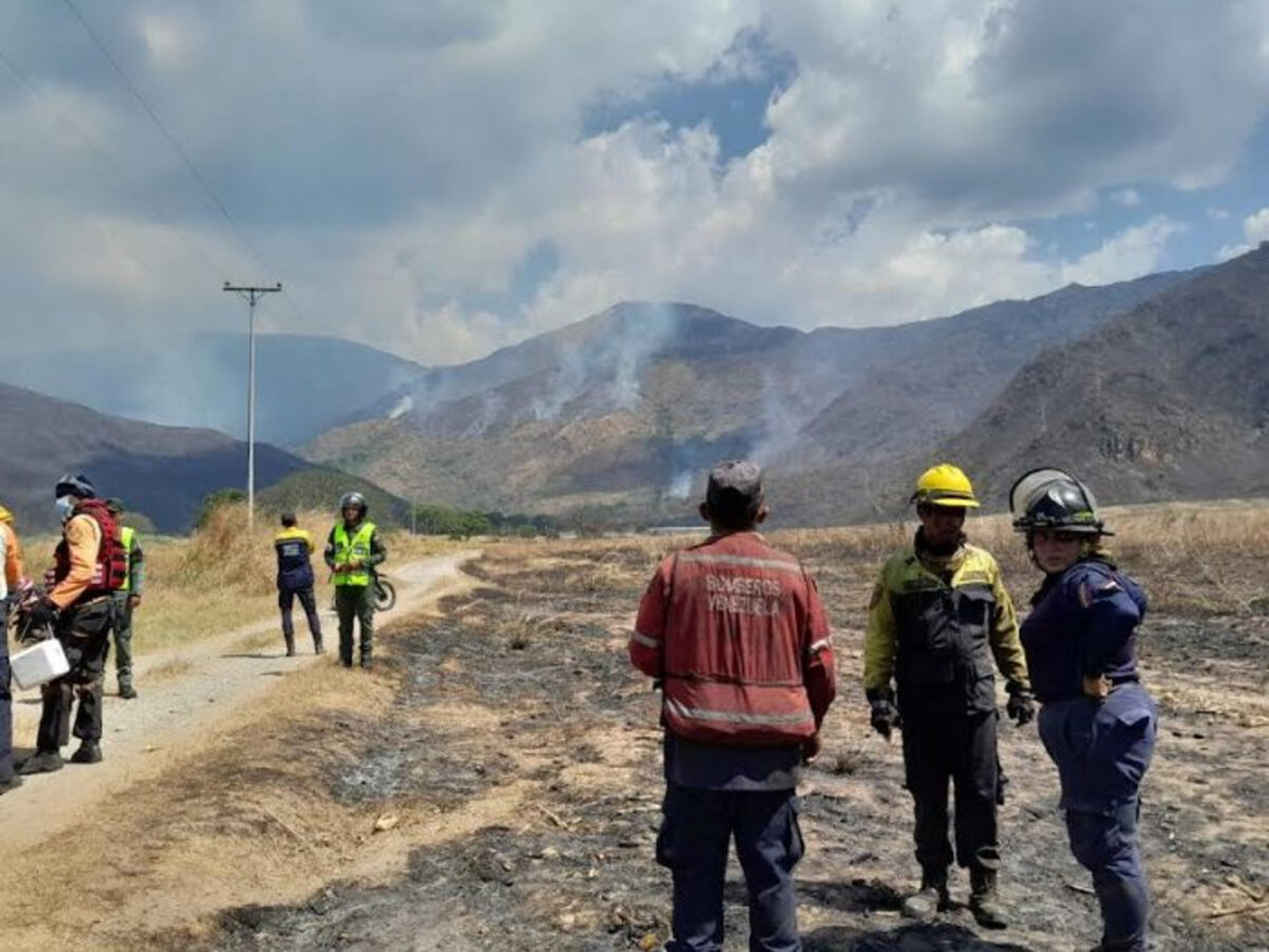 Incendio en el parque Henri Pittier afectó 600 hectáreas de pastizales: lo que se sabe