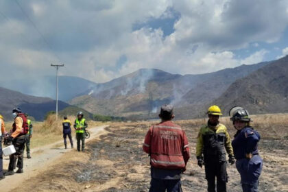 Incendio en el parque Henri Pittier afectó 600 hectáreas de pastizales: lo que se sabe