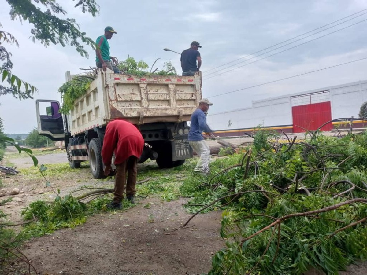 Protestaron por la deforestación del semiárido larense debido a la producción de carbón vegetal