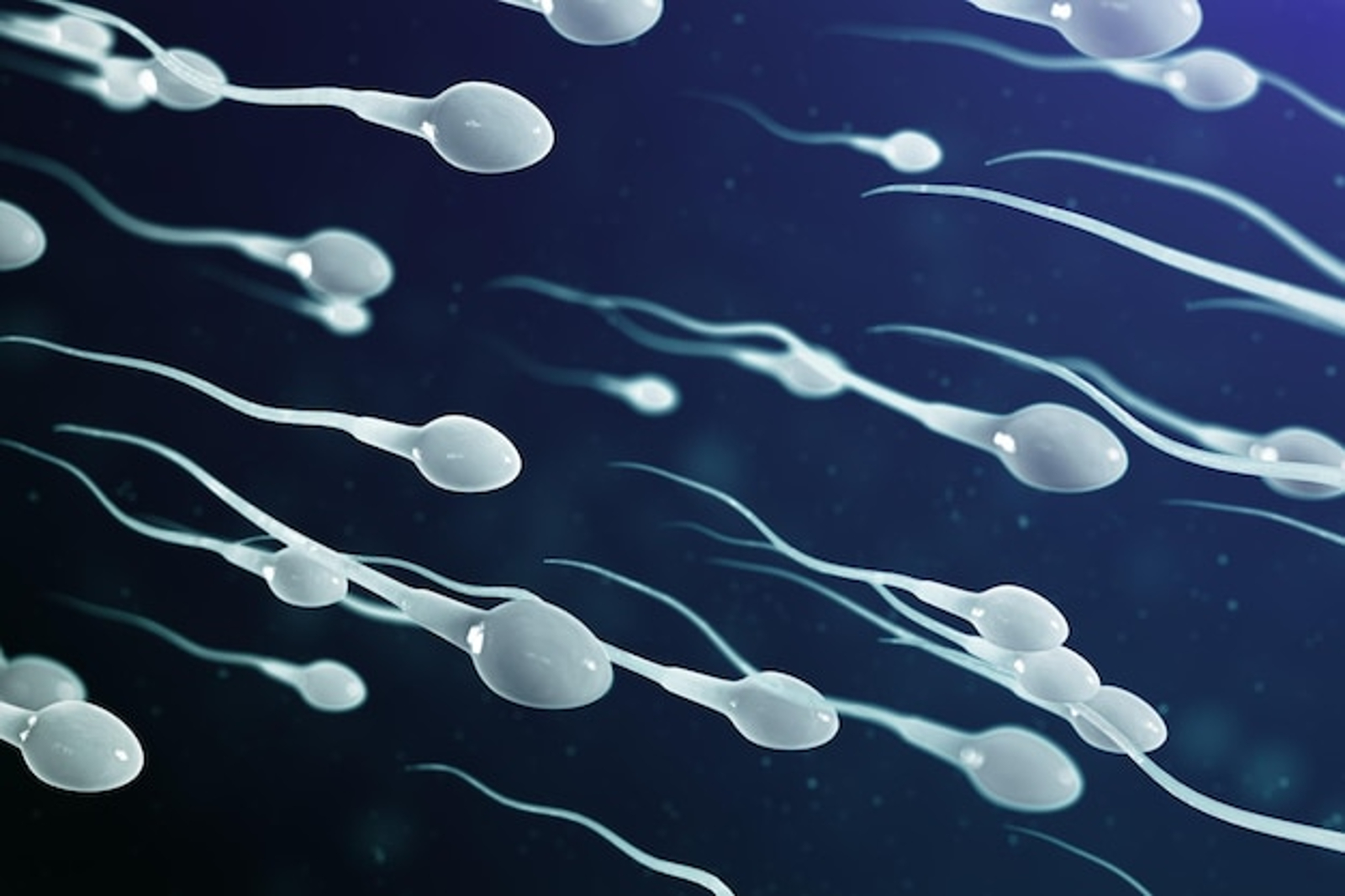 En qué consiste la aplicación de nanorobots en la reproducción asistida