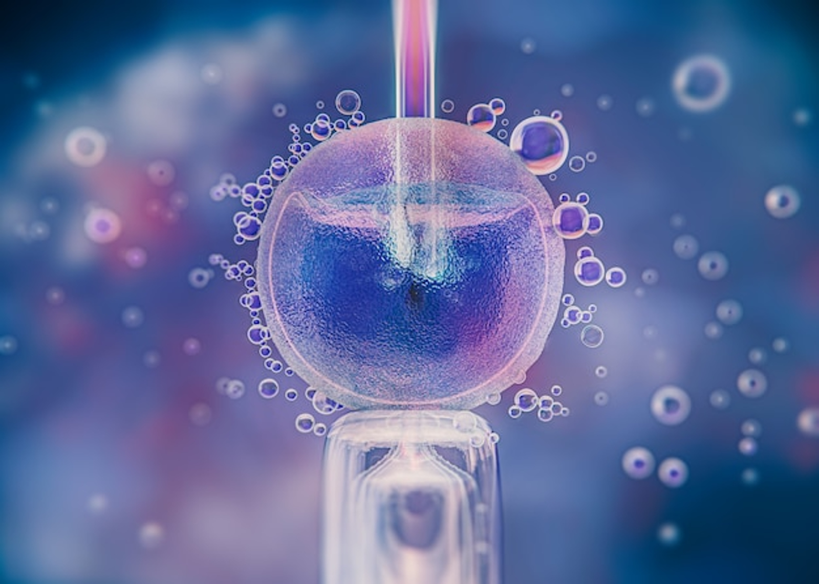 En qué consiste la aplicación de nanorobots en la reproducción asistida