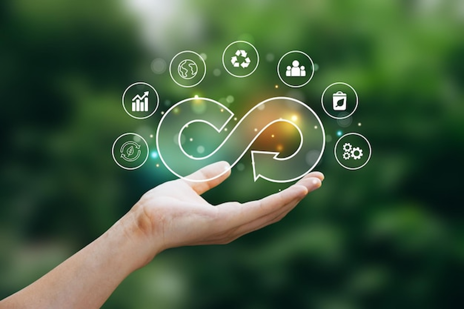 Cómo se aplica la economía circular en Venezuela