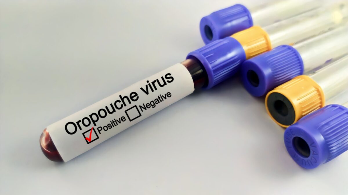 Confirmaron cinco casos del virus Oropouche en Venezuela: ¿cómo se contagia y cuáles son sus síntomas?