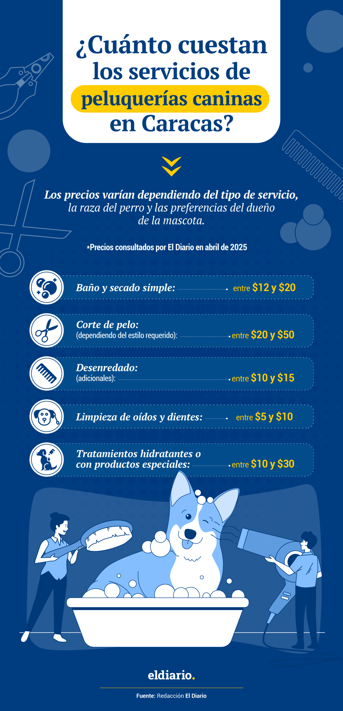 Servicios de peluquerías caninas en Caracas: qué ofrecen y cuánto cuestan