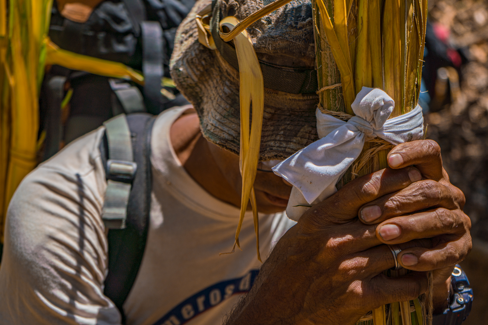 “Que la palma te acompañe”: la tradición de Chacao que perdura en el tiempo
