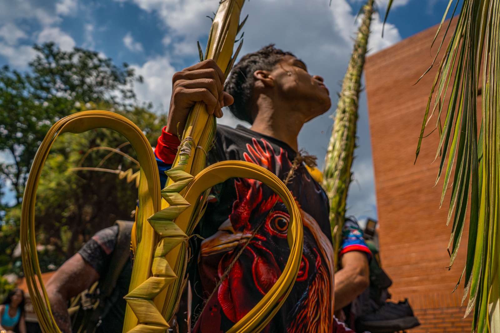 “Que la palma te acompañe”: la tradición de Chacao que perdura en el tiempo