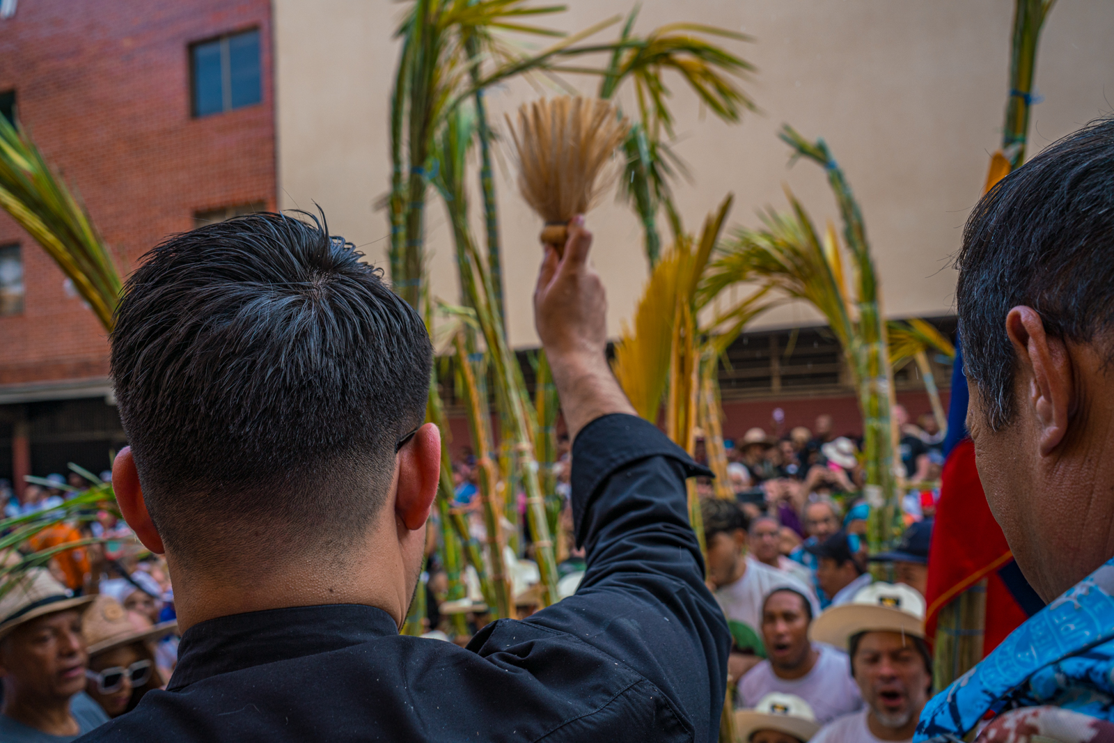“Que la palma te acompañe”: la tradición de Chacao que perdura en el tiempo
