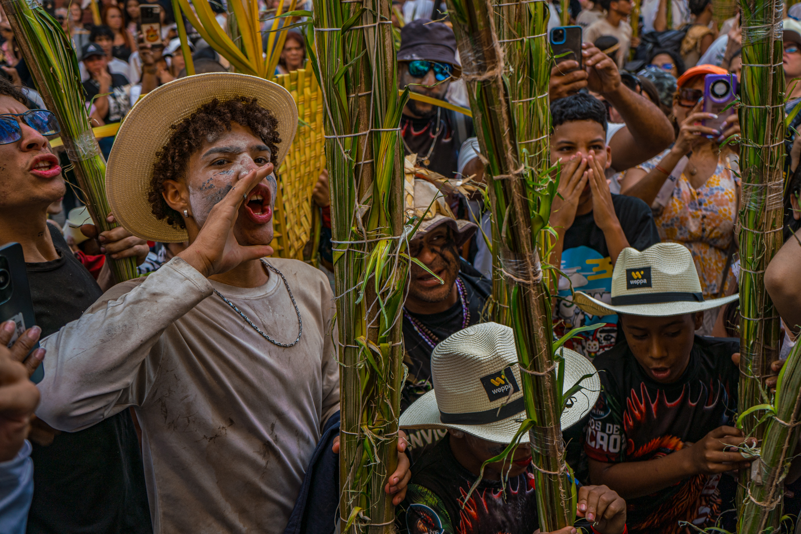 “Que la palma te acompañe”: la tradición de Chacao que perdura en el tiempo