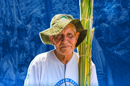 “Que la palma te acompañe”: la tradición de Chacao que perdura en el tiempo