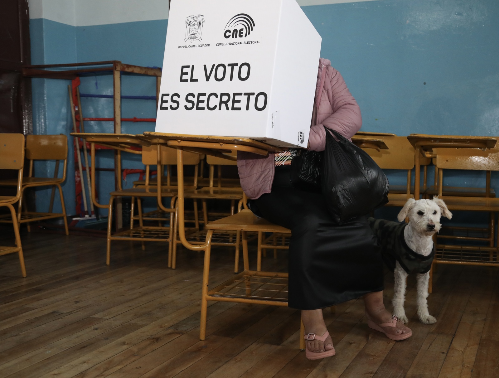 Empieza la votación de presidenciales ecuatorianas con Noboa y González como candidatos