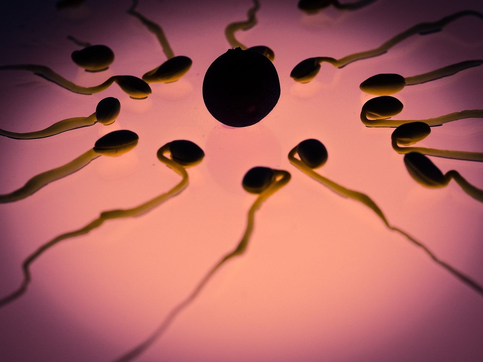 Píldora anticonceptiva para hombres superó la primera fase de ensayos clínicos con humanos: lo que se sabe