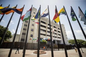 Borrador automático