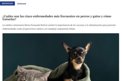 Corrección, ¿Cuáles son las cinco enfermedades más frecuentes en perros y gatos y cómo tratarlas?