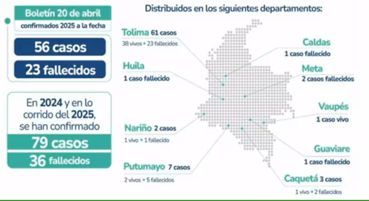 ¿Qué deben saber los venezolanos sobre la emergencia sanitaria por fiebre amarilla en Colombia?