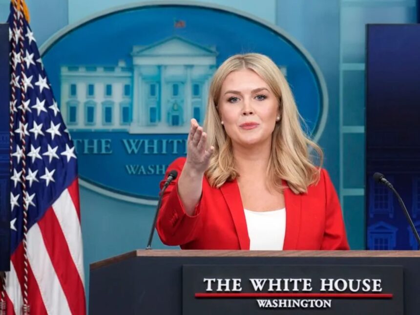 Borrador automático