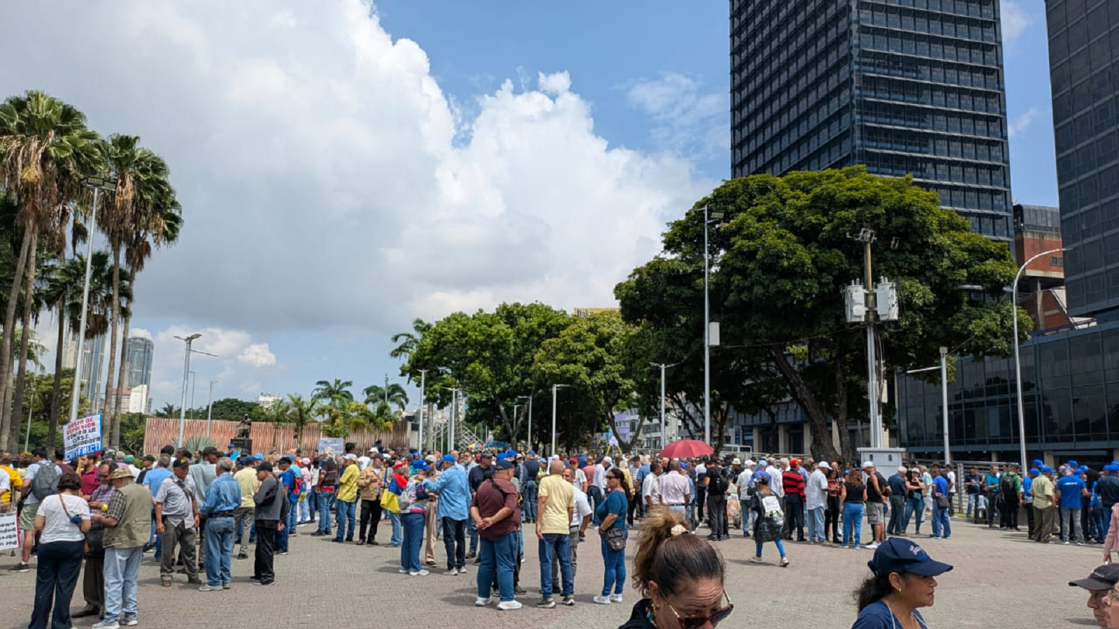 Borrador automático