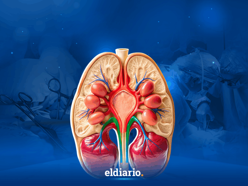 Ocho años sin SPOT: la crisis del sistema de trasplantes en Venezuela