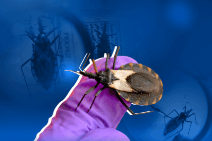 Qué es la enfermedad de Chagas y cómo impacta a las comunidades rurales en Venezuela 