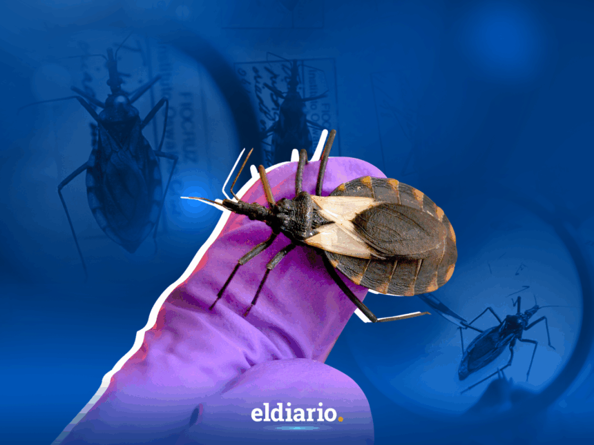 Qué es la enfermedad de Chagas y cómo impacta a las comunidades rurales en Venezuela 