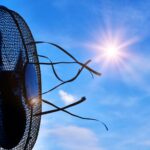 Condiciones climáticas extremas y calor mortal: algunos de los pronósticos mundiales para los próximos 5 años 