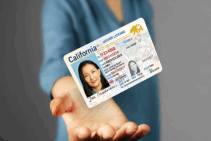Entró en vigencia el uso del REAL ID: ¿qué es y por qué será necesario para viajar en avión dentro de EE UU?