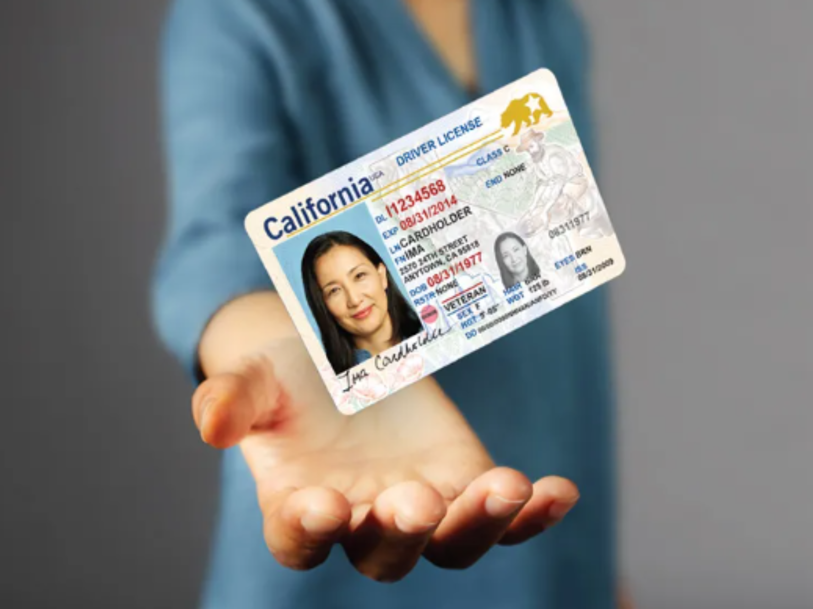 Entró en vigencia el uso del REAL ID: ¿qué es y por qué será necesario para viajar en avión dentro de EE UU?