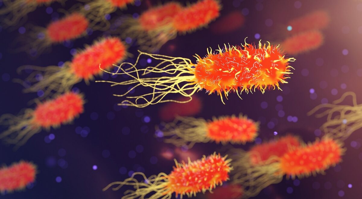 Identificaron nuevos antibióticos naturales en proteínas del cuerpo humano