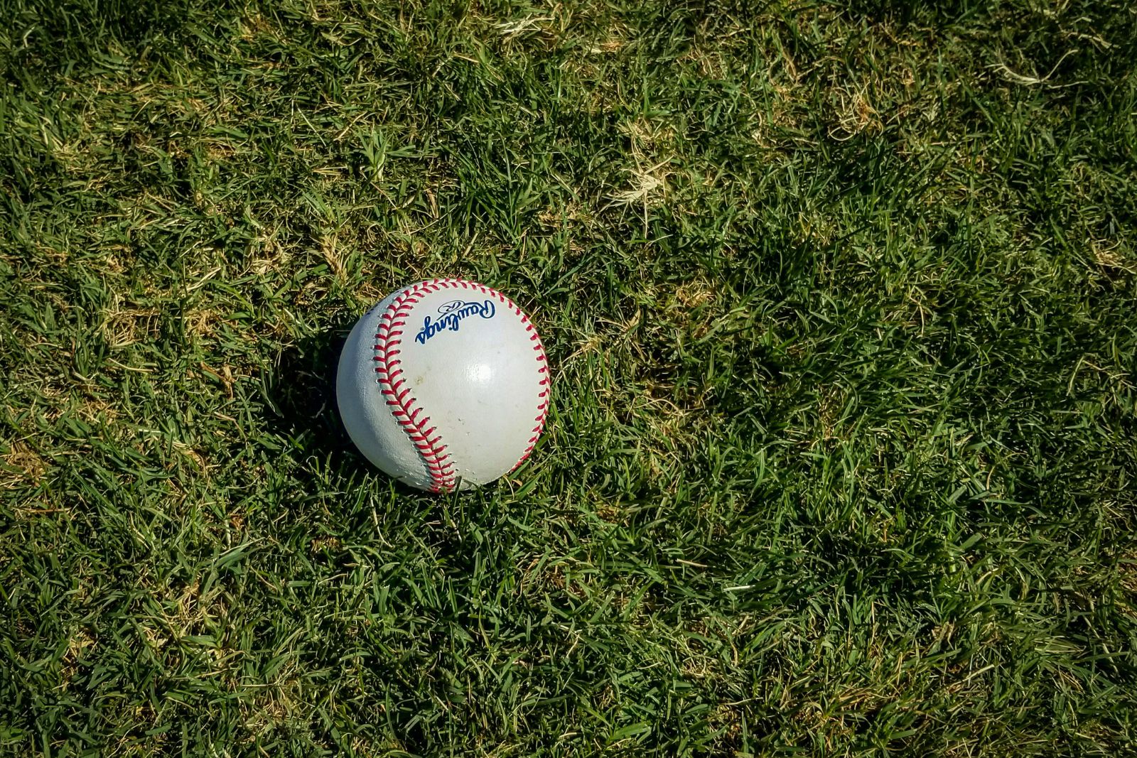 Orioles de Baltimore conformó la muerte del prospecto venezolano Luis Guevara
