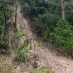 Reportaron colapso de alcantarillas, vías tapiadas e inundaciones por lluvias en Táchira