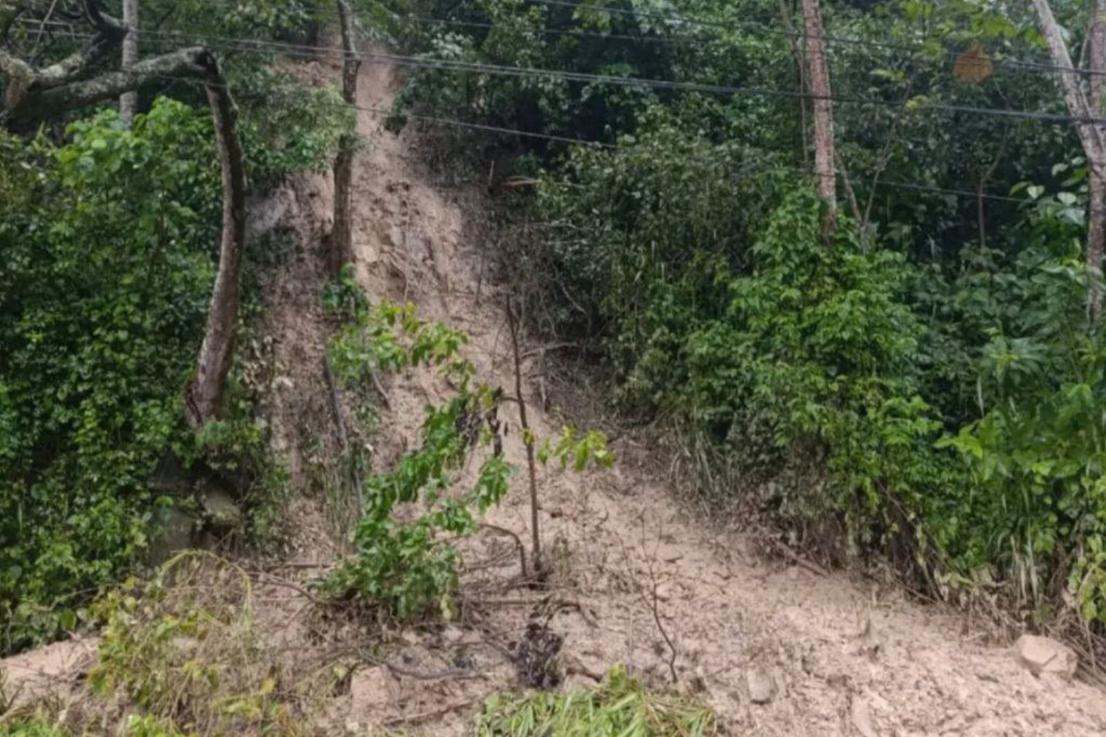Reportaron colapso de alcantarillas, vías tapiadas e inundaciones por lluvias en Táchira