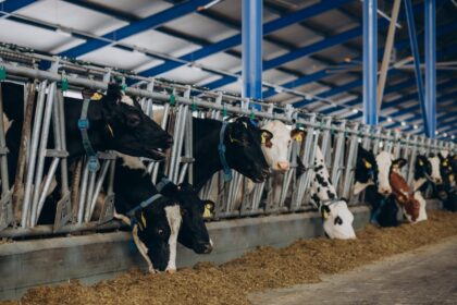 Fedenaga: El consumo de carne en Venezuela se estancó durante los primeros meses de 2025 