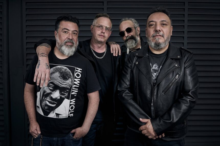 Borrador automático