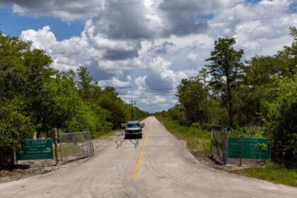 Lo que se sabe de Alligator Alcatraz, la nueva prisión de migrantes en Estados Unidos
