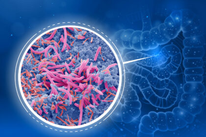 Microbiota intestinal