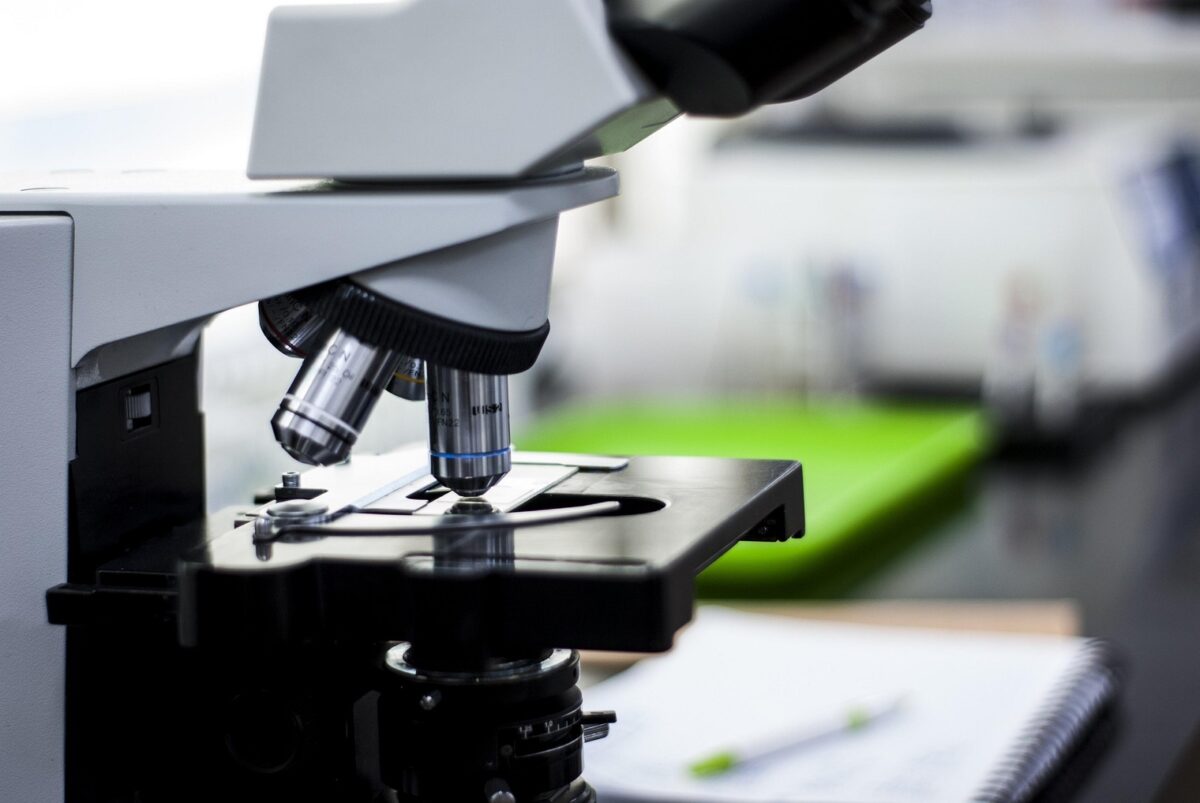 Identificaron nuevos antibióticos naturales en proteínas del cuerpo humano