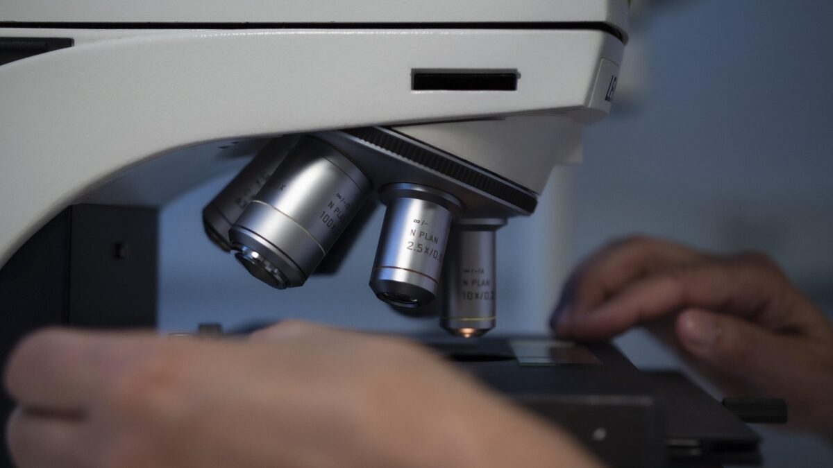 Identificaron nuevos antibióticos naturales en proteínas del cuerpo humano