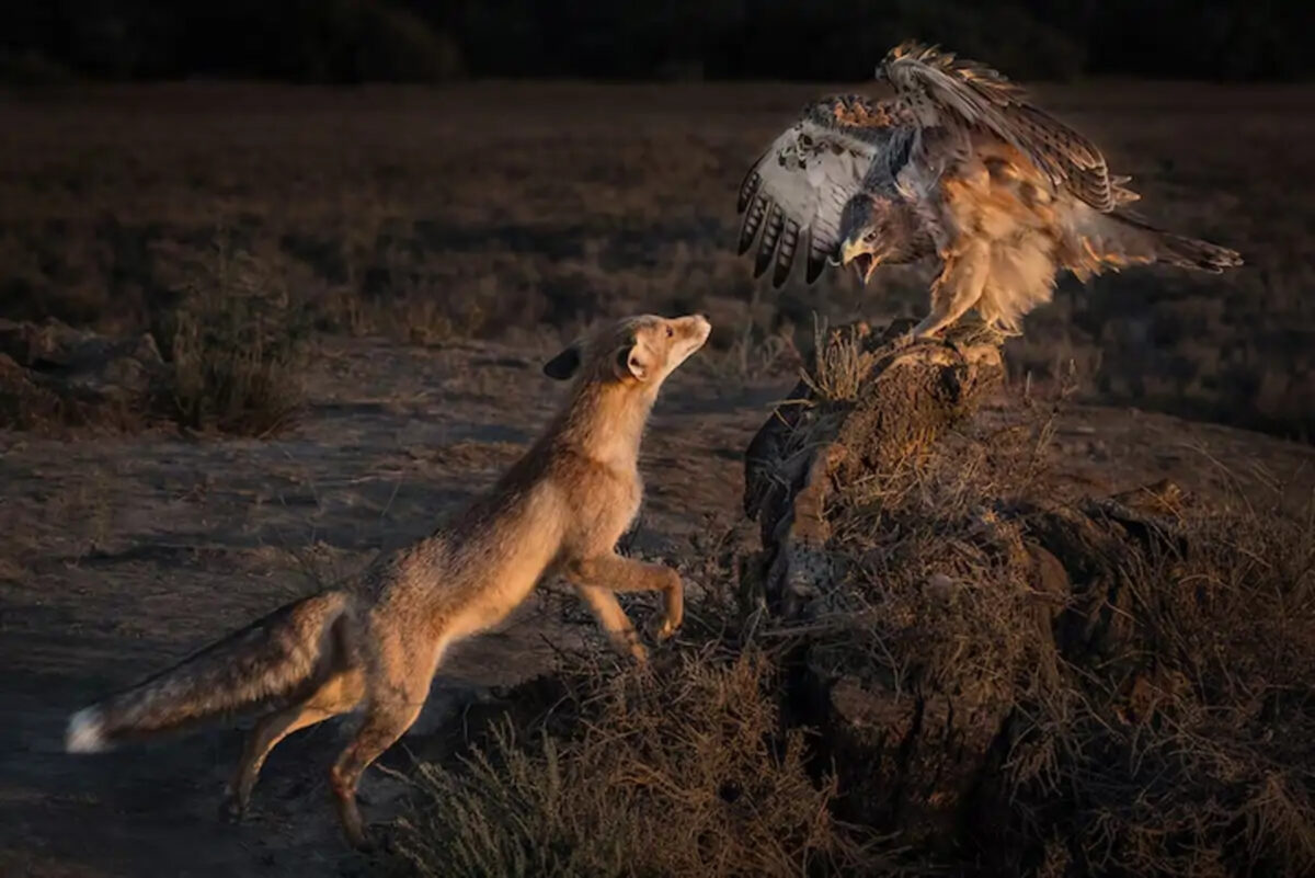 Las fotografías ganadoras del concurso National Geographic Travelle